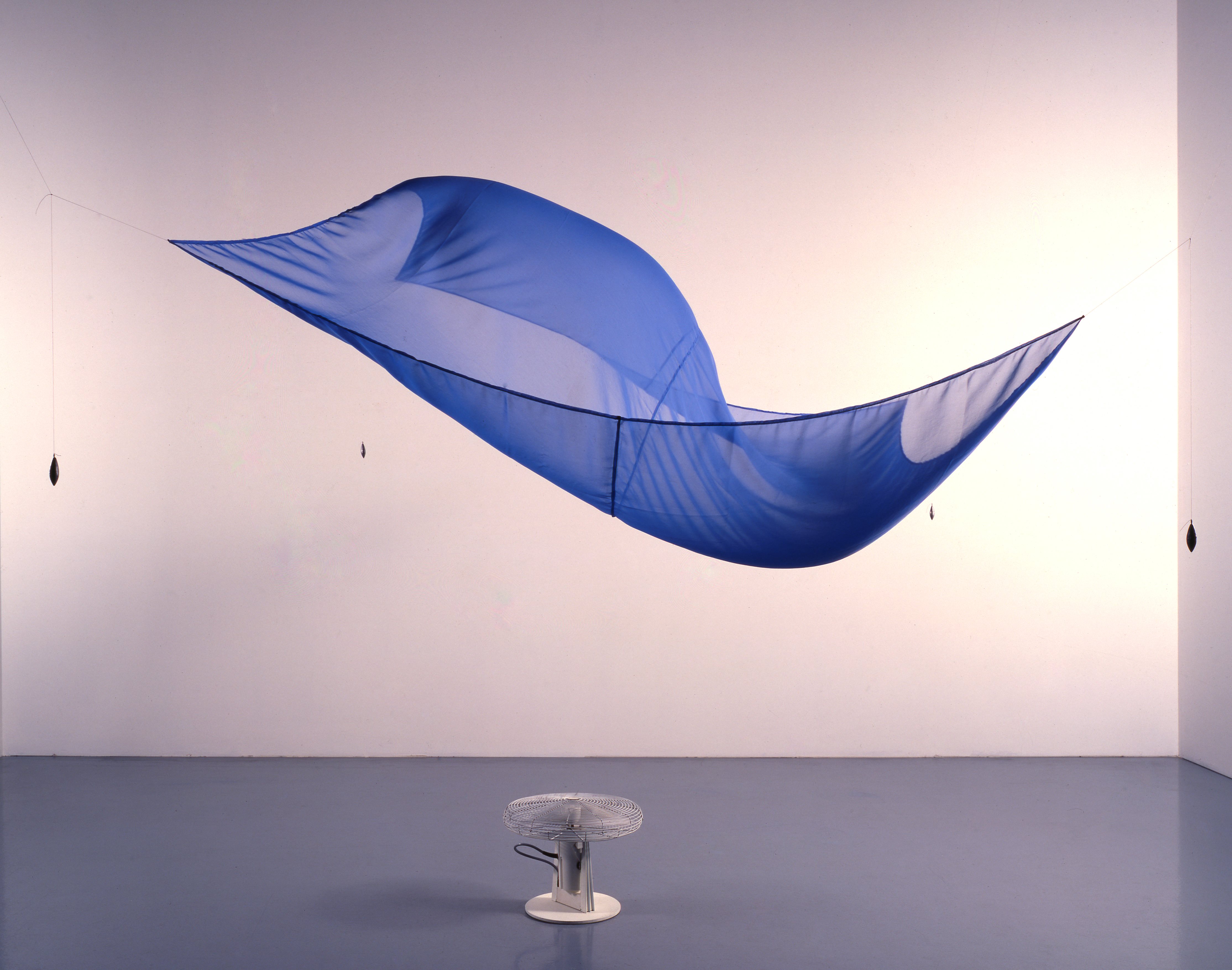 Belvedere Museum Wien Hans Haacke